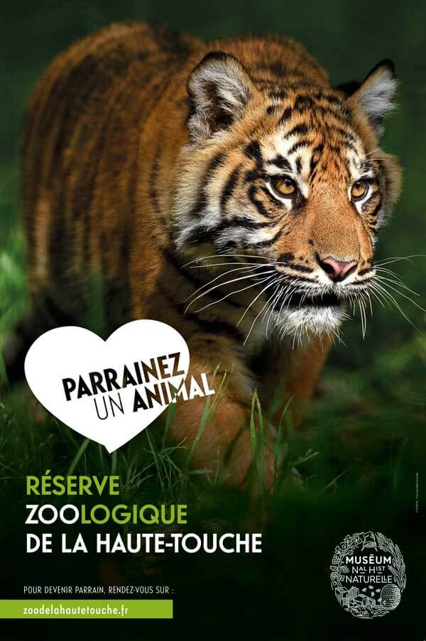 Réalisation d'infographie pour zoo de vincennes