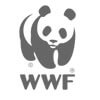 Graphiste WWF